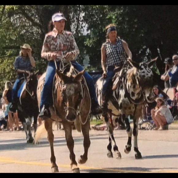 Meet your Posher, Charlotte - Picture 1 of 1